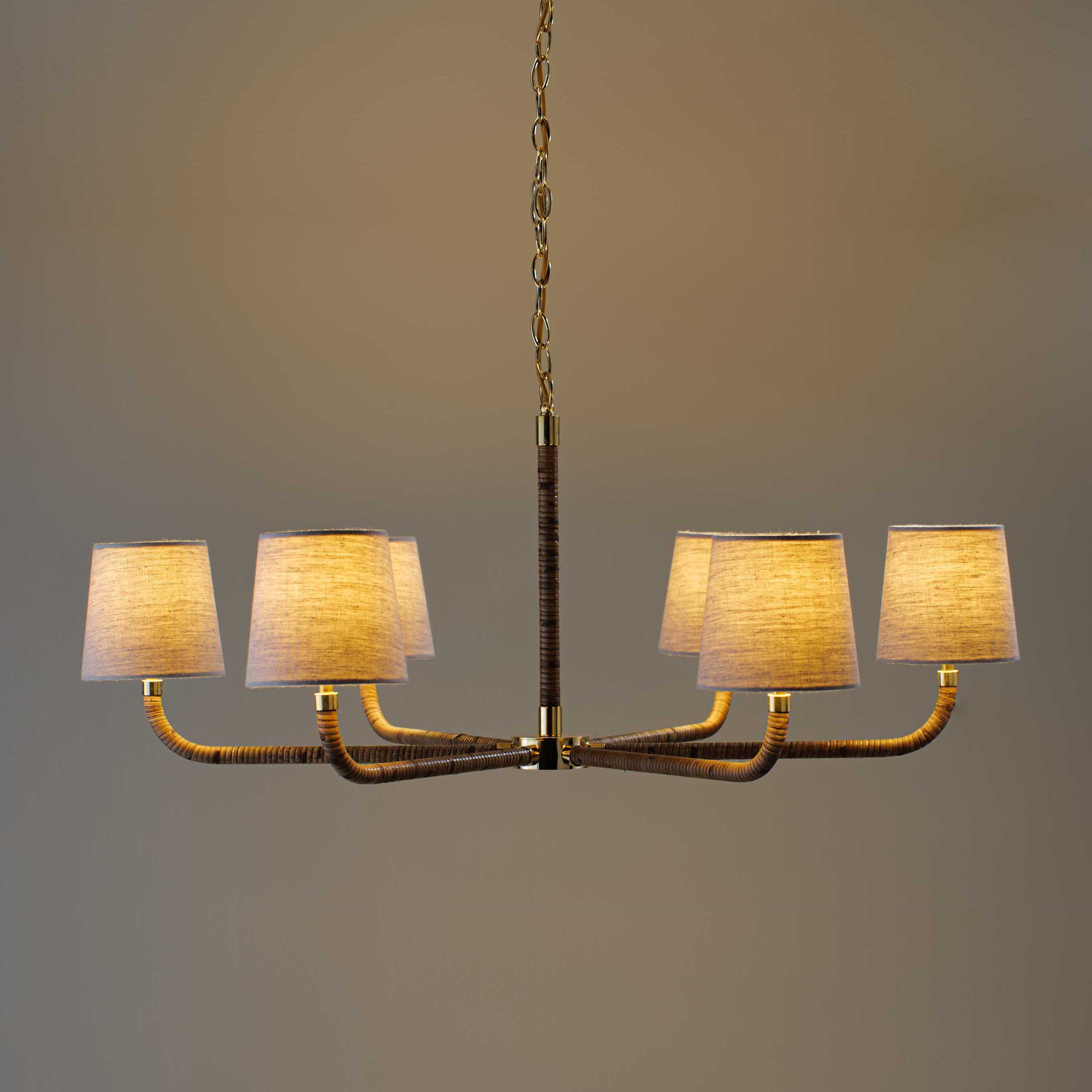 Holden Cane Chandelier