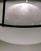 Modern Designer Recommended Elliptical Shell Pendant
