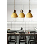 Jielde Dante Pendant Lamp