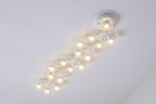 LED Net Ceiling Lamp