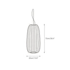 Spokes Cage Pendant Lamp