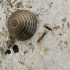 Lucie Marble Plug Wall Lamp