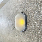 Lutec Echo Sconce