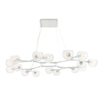 Mahowald Fixed Chandelier DLC53 product image