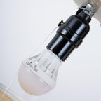Balloon Dream Wall Light