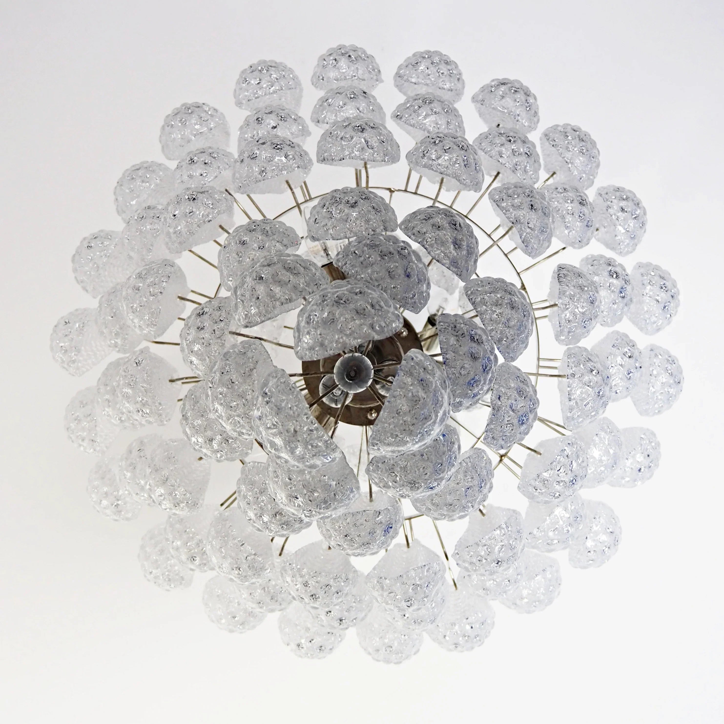 Murano Transparent Petals Glass Chandelier