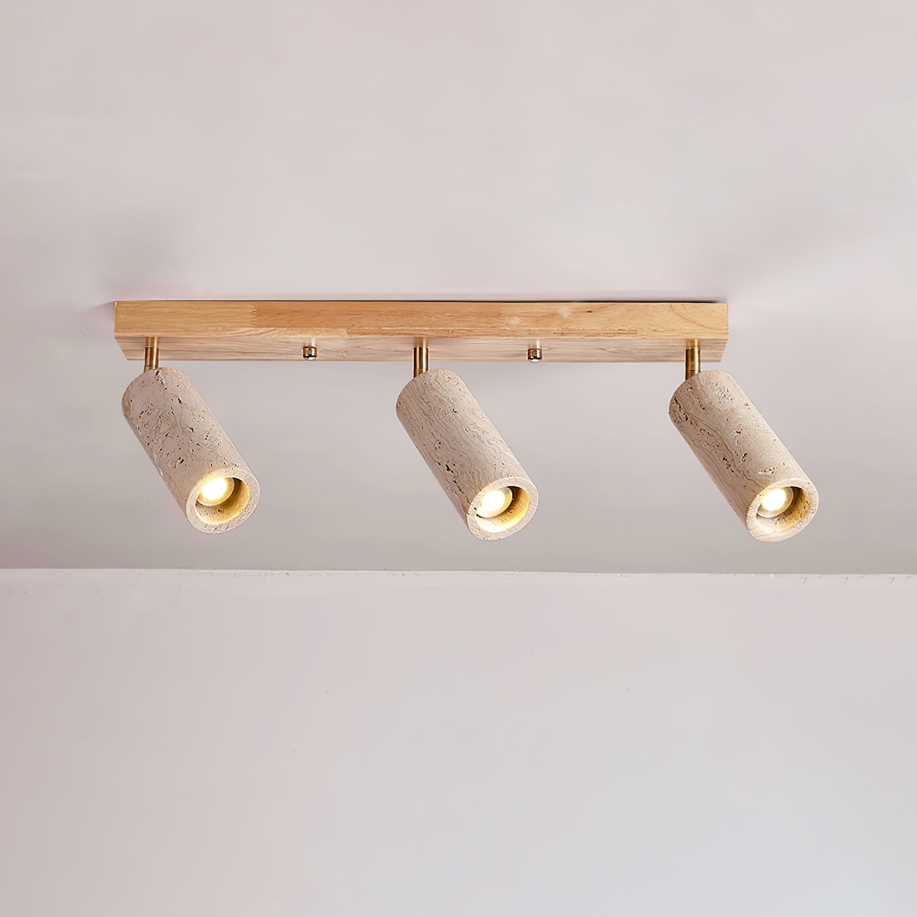Nimbus Ceiling Spotlight