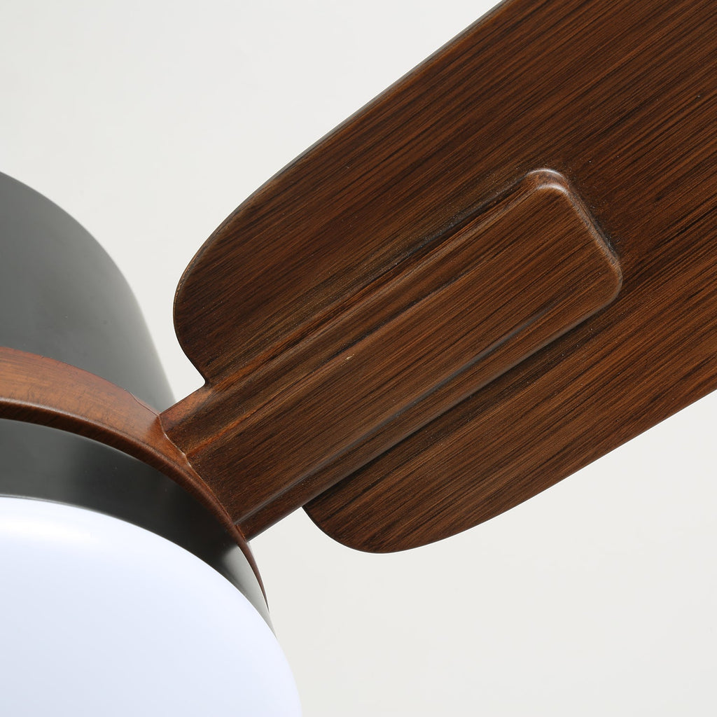 Nimora Ceiling Fan Light