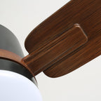 Nimora Ceiling Fan Light