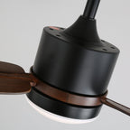 Nimora Ceiling Fan Light