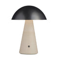 Struzzo Rechargeable Accent Lamp PAC02 main product view