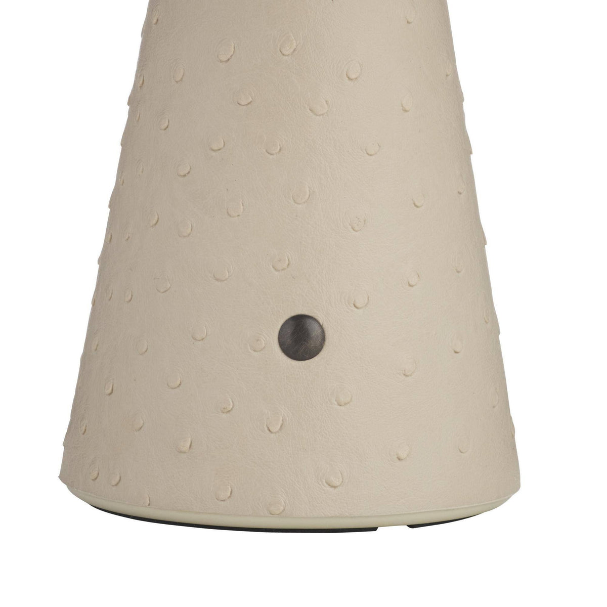 Struzzo Rechargeable Accent Lamp PAC02 detail view