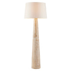 Elmhurst Floor Lamp PFI08-SH052 main product view