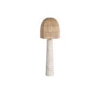 Agnes Floor Lamp PFS02 product view