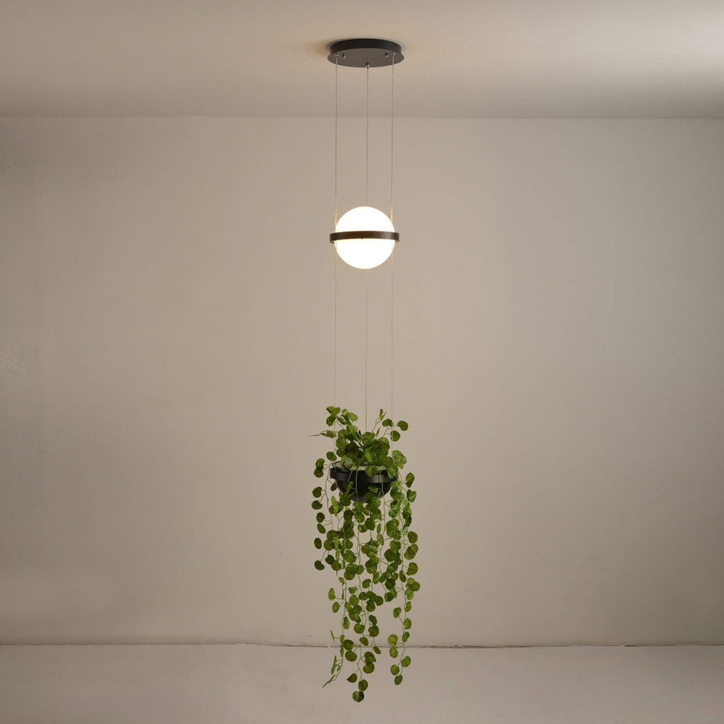 Palma Pendant Lamp