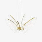 Phalaenopsis Chandelier