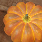 Portable Pumpkin Built-in Battery Table Lamp