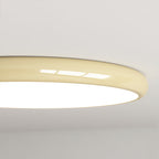 Puck LED Flush Mount Ceiling Light