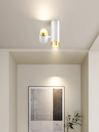 Puma Spotlight Ceiling Light