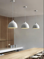Resin Bowl Pendant Lamp