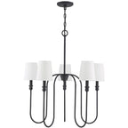 Sanibel Chandelier