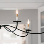 Pulpo Chandelier