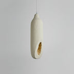 Seltanica Pendant Light