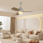 Vento Ceiling Fan Light