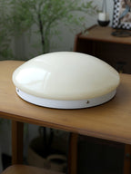 Wickes Flush Ceiling Light