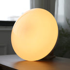 Wickes Flush Ceiling Light