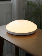Wickes Flush Ceiling Light